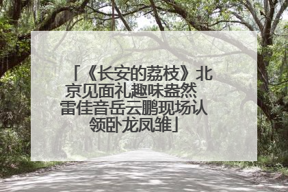 《长安的荔枝》北京见面礼趣味盎然 雷佳音岳云鹏现场认领卧龙凤雏