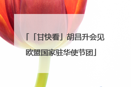 「甘快看」胡昌升会见欧盟国家驻华使节团