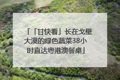 「甘快看」长在戈壁大漠的绿色蔬菜38小时直达粤港澳餐桌