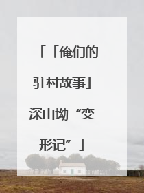 「俺们的驻村故事」深山坳“变形记”