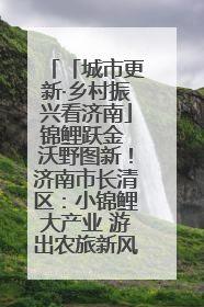 「城市更新·乡村振兴看济南」锦鲤跃金 沃野图新！济南市长清区：小锦鲤大产业 游出农旅新风景