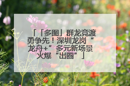 「多图」群龙竞渡勇争先！深圳龙岗“龙舟+”多元新场景火爆“出圈”