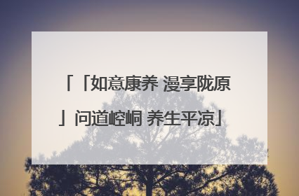 「如意康养 漫享陇原」问道崆峒 养生平凉