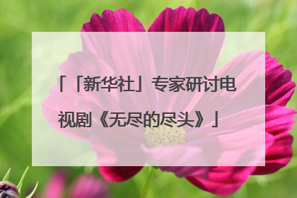 「新华社」专家研讨电视剧《无尽的尽头》