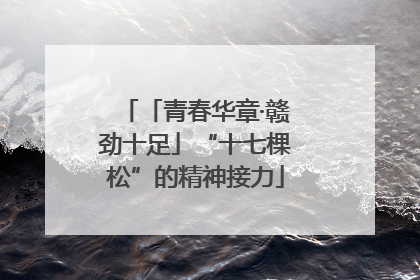 「青春华章·赣劲十足」“十七棵松”的精神接力