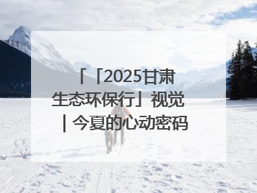 「2025甘肃生态环保行」视觉｜今夏的心动密码，藏在冰沟河的潋滟波光里