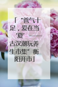 “爸气十足，爱在当‘夏’——古汉潮玩养生市集”衡阳开市