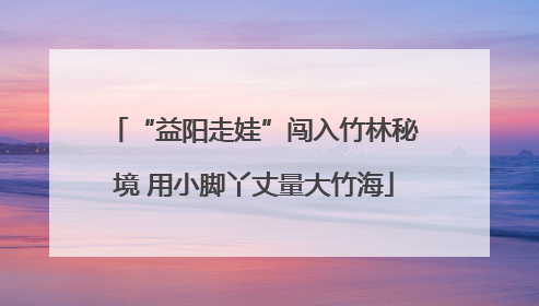 “益阳走娃”闯入竹林秘境 用小脚丫丈量大竹海
