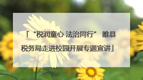 “税润童心 法治同行” 睢县税务局走进校园开展专题宣讲