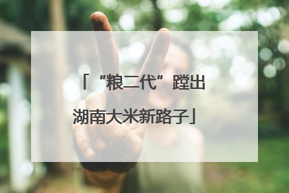 “粮二代”蹚出湖南大米新路子