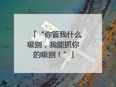 “你管我什么级别，我能抓你的级别！”