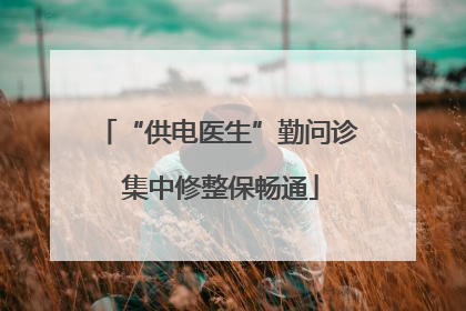 “供电医生”勤问诊 集中修整保畅通