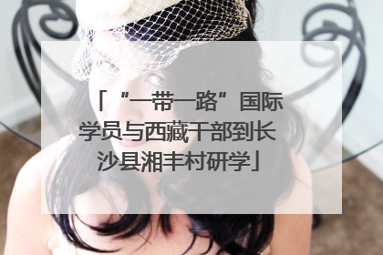 “一带一路”国际学员与西藏干部到长沙县湘丰村研学