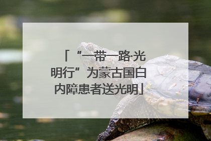 “一带一路·光明行”为蒙古国白内障患者送光明