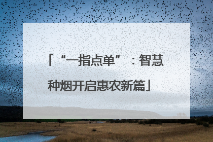 “一指点单”：智慧种烟开启惠农新篇
