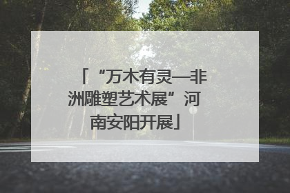 “万木有灵—非洲雕塑艺术展”河南安阳开展
