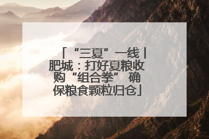 “三夏”一线丨肥城：打好夏粮收购“组合拳” 确保粮食颗粒归仓