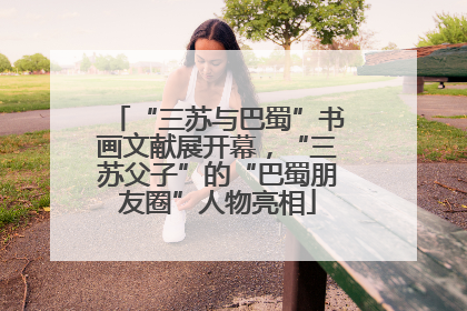 “三苏与巴蜀”书画文献展开幕，“三苏父子”的“巴蜀朋友圈”人物亮相