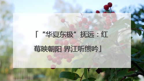 “华夏东极”抚远：红莓映朝阳 界江听熊吟