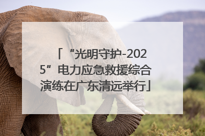 “光明守护-2025”电力应急救援综合演练在广东清远举行