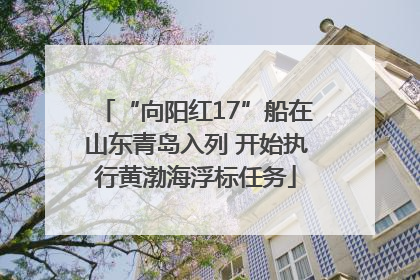 “向阳红17”船在山东青岛入列 开始执行黄渤海浮标任务