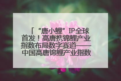 “唐小鲤”IP全球首发！高唐携锦鲤产业指数布局数字赛道——中国高唐锦鲤产业指数暨“唐小鲤”IP全球首发仪式在杭州举行