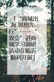 “商城出海 思想先行”——“双会”进商城学习调研活动在临沂顺利开展