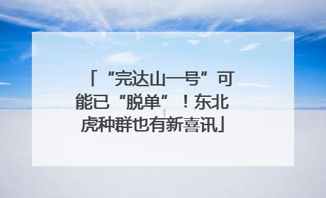 “完达山一号”可能已“脱单”！东北虎种群也有新喜讯