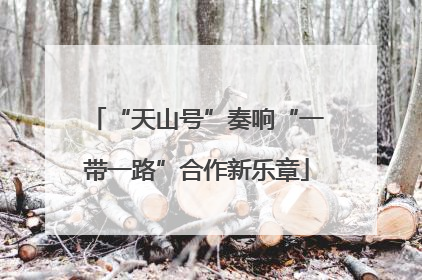 “天山号”奏响“一带一路”合作新乐章