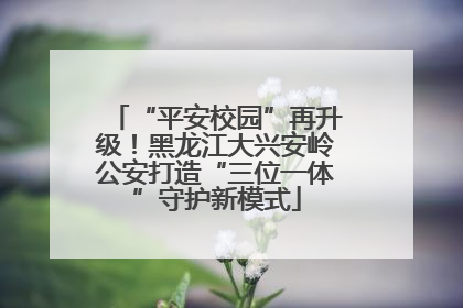“平安校园”再升级！黑龙江大兴安岭公安打造“三位一体”守护新模式