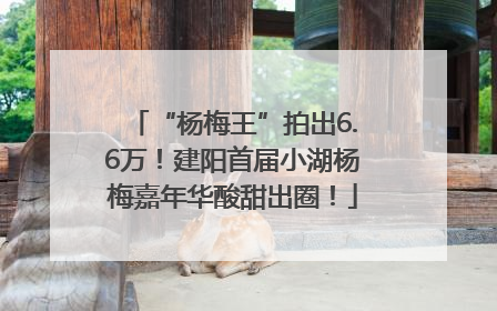 “杨梅王”拍出6.6万！建阳首届小湖杨梅嘉年华酸甜出圈！