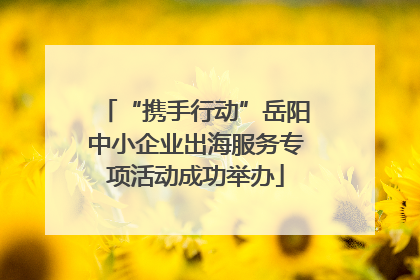 “携手行动”岳阳中小企业出海服务专项活动成功举办