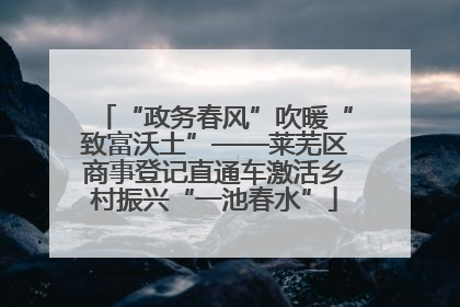 “政务春风”吹暖“致富沃土”——莱芜区商事登记直通车激活乡村振兴“一池春水”