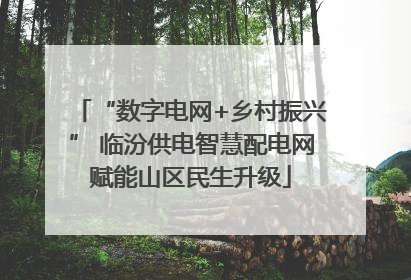 “数字电网+乡村振兴” 临汾供电智慧配电网赋能山区民生升级