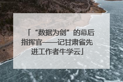 “数据为剑”的幕后指挥官——记甘肃省先进工作者牛学云