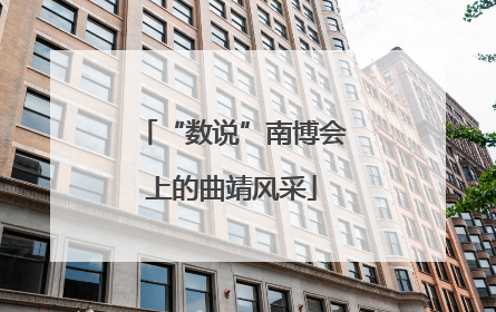 “数说”南博会上的曲靖风采
