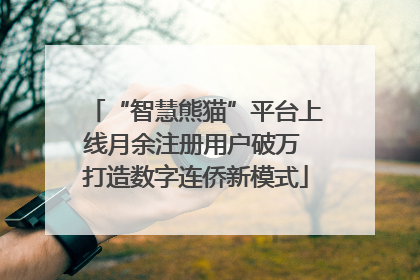 “智慧熊猫”平台上线月余注册用户破万 打造数字连侨新模式