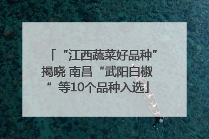 “江西蔬菜好品种”揭晓 南昌“武阳白椒”等10个品种入选