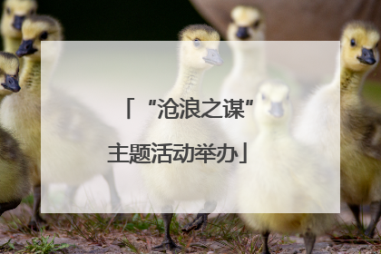 “沧浪之谋”主题活动举办