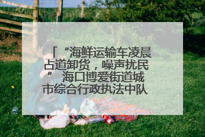 “海鲜运输车凌晨占道卸货，噪声扰民” 海口博爱街道城市综合行政执法中队：将联合交警加强长堤路一带巡逻