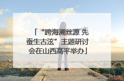 “跨海溯丝源 先蚕生古泫”主题研讨会在山西高平举办