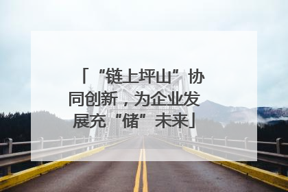 “链上坪山”协同创新，为企业发展充“储”未来