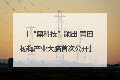 “黑科技”频出 青田杨梅产业大脑首次公开
