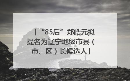 “85后”郑皓元拟提名为辽宁地级市县（市、区）长候选人