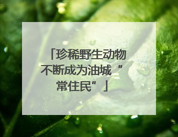 珍稀野生动物不断成为油城“常住民”