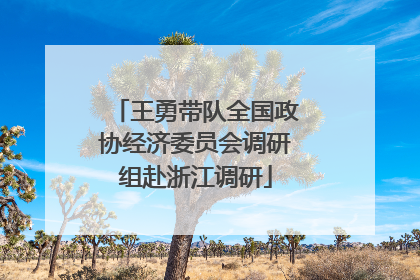 王勇带队全国政协经济委员会调研组赴浙江调研