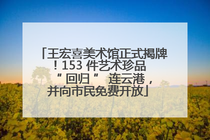 王宏喜美术馆正式揭牌！153 件艺术珍品 “ 回归 ” 连云港，并向市民免费开放