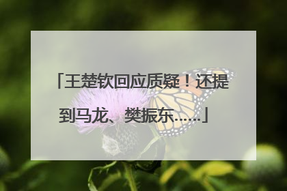 王楚钦回应质疑！还提到马龙、樊振东……