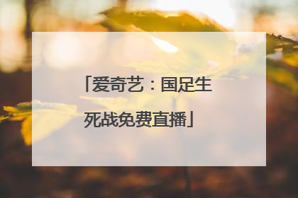 爱奇艺：国足生死战免费直播