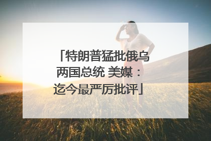 特朗普猛批俄乌两国总统 美媒：迄今最严厉批评